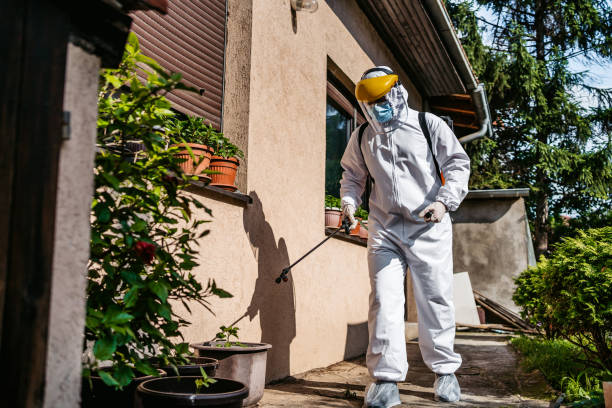 Best Pest Control for Homes  in Proctor, VT