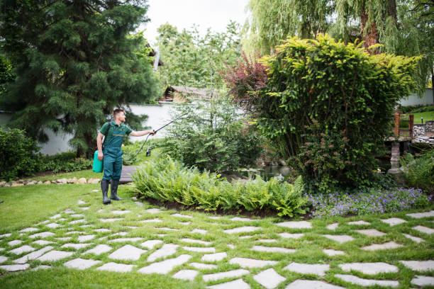 Best Exterminator Services  in Proctor, VT