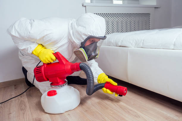Best Cockroach Control Services  in Proctor, VT