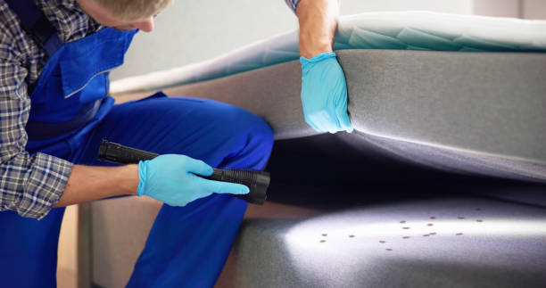 Best Residential Pest Control  in Proctor, VT