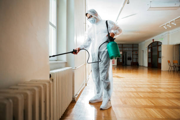 Best Commercial Pest Control Services  in Proctor, VT