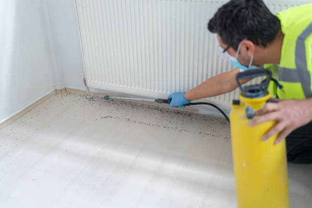 Pest Control Cost in Proctor, VT